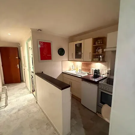 Grand Climatise Avec Place Privative Apartment